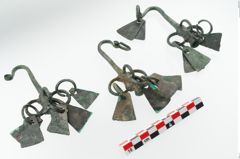 Foto von Bronzeachsnagel (NHMW-PRAE-025272)
